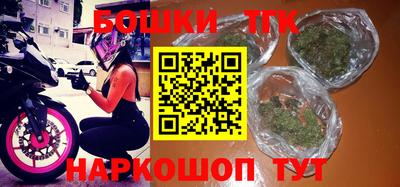 прущие грибы Гатчина