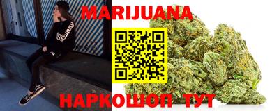 прущие грибы Гатчина