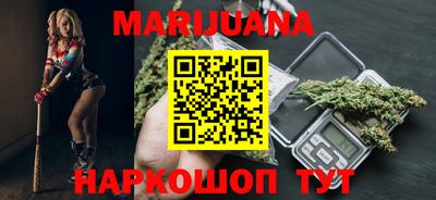 прущие грибы Гатчина